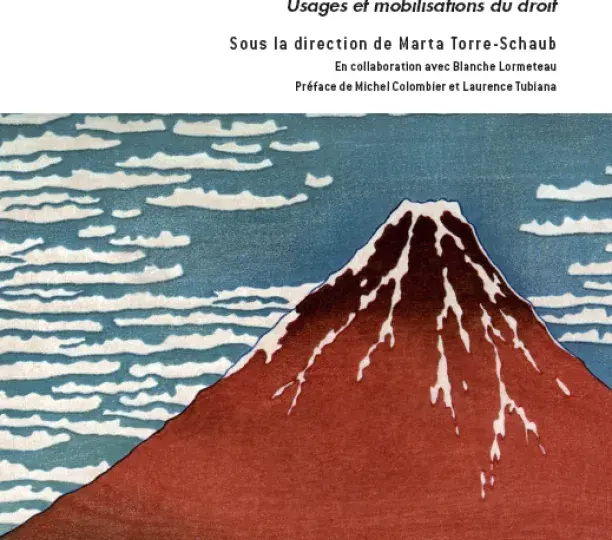Les Dynamiques du contentieux climatique. Usages et mobilisations du droit